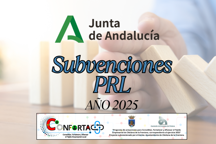 CONVOCATORIA DE SUBVENCIONES EN MATERIA DE PRL 2025