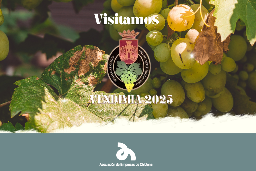 Visita a Bodegas Coop. Unión Viticultores Chiclaneros para conocer la campaña de la vendimia 2025 y el nuevo vino frizzante TUNANTE