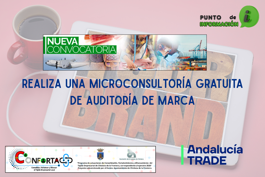 REALIZA UNA MICROCONSULTORÍA GRATUITA DE AUDITORÍA DE MARCA