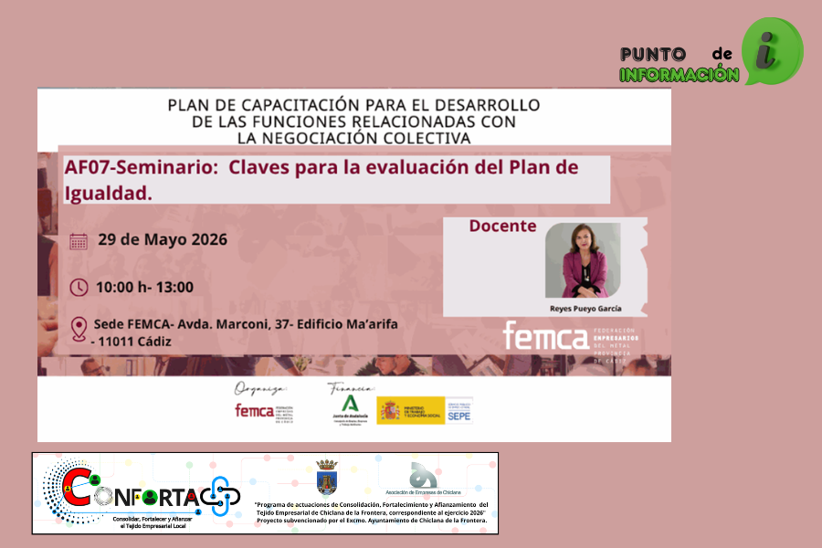 FORMACIÓN FEMCA: SEMINARIO CLAVES PARA LA EVALUACIÓN DEL PLAN DE IGUALDAD
