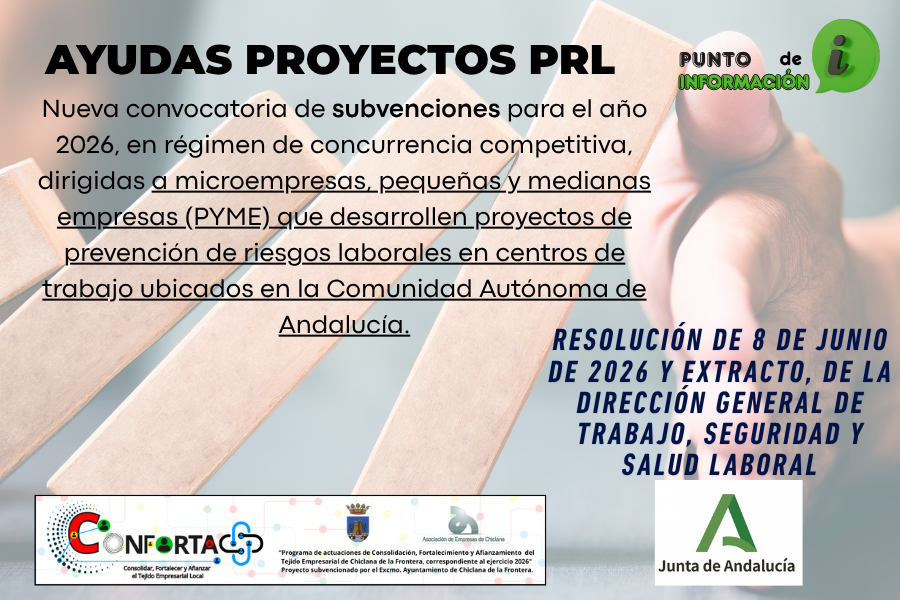 AYUDAS PROYECTOS PRL