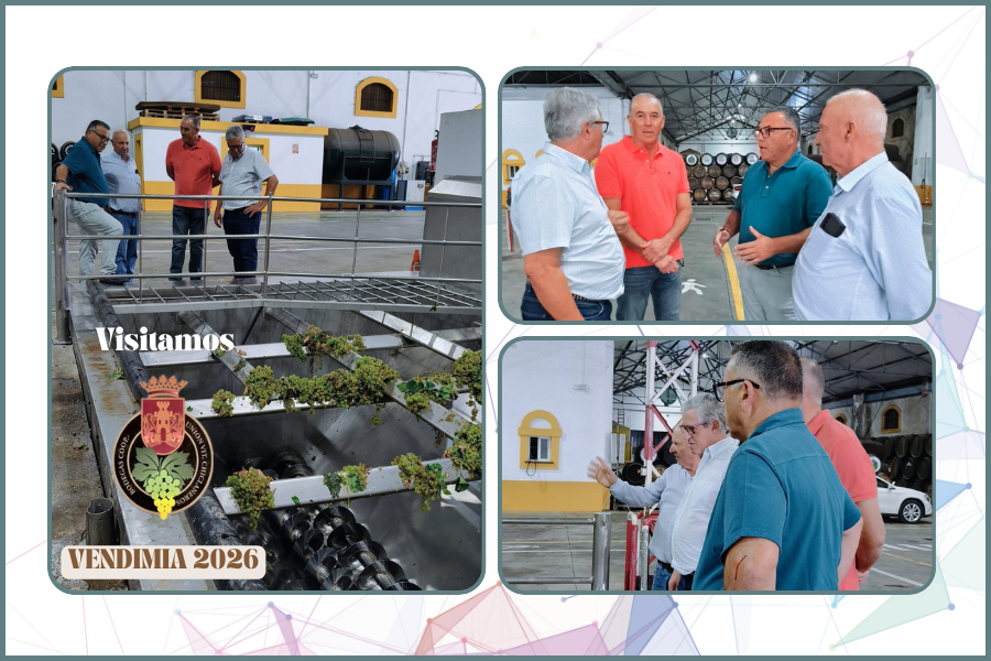 VISITAMOS A LA BODEGA COOPERATIVA UNIÓN DE VITICULTORES CHICLANEROS EN EL ARRANQUE DE LA VENDIMIA 2026